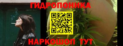 прущая мука Ачхой-Мартан