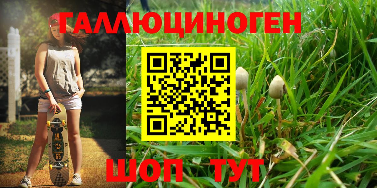 Псилоцибиновые грибы Psilocybine cubensis Анжеро-Судженск